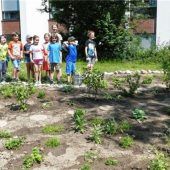 Ein großes Schmetterlingsbeet gestaltet