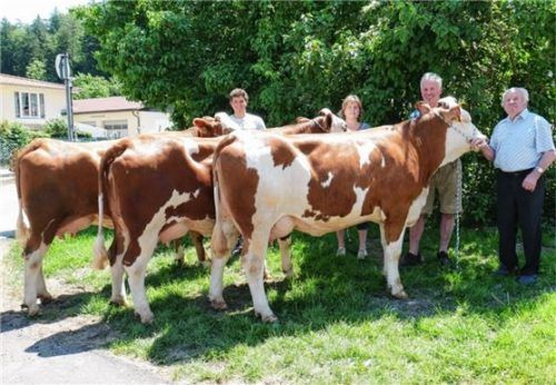 Zuchtarbeit über drei Generationen (von links): Thomas Anzenberger, seine Eltern Maria und Rupert sowie Rupert Anzenberger senior mit ihren Jungkühen.Foto  re