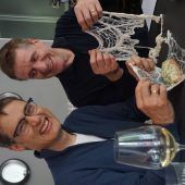 Der Darm: So groß wie ein Tennisplatz