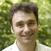 Wald entlastet die Atmosphäre, ein Allheilmittel ist er nicht