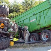 Auto und Bulldog stoßen zusammen