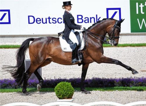 Anmutig: Jessica von Bredow-Werndl auf TSF Dalera BB.