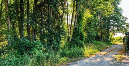 Auf dem Gelände an der Hölderlinstraße sollen ab Herbst 2020 bis zu 40 Kinder im „naturnahen“ Kindergarten betreut werden. Foto Buhleier