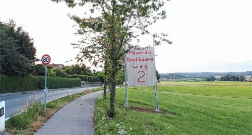 Aufreger in Höslwang: Entlang der Kreisstraßen werden neue Hinweisschilder angebracht, die nach Meinung der Bevölkerung überdimensional sind. Hinzu kommt die Sorge um die Kirschbäume zwischen Sonnering und Höslwang – müssen sie weg?Foto Stübl