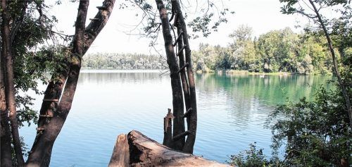Der Sprung vom Baum in den Hochstraßer See wurde einem Buben (13) zum Verhängnis: Er verhedderte sich im Schwingseil, das inzwischen abgenommen wurde, und riss sich den Unterarm ab.Foto Reisner