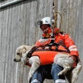 BRK Rettungshunde wollen hoch hinaus