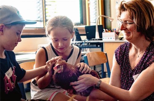 Einmalige Gelegenheit: Wann hat man schon die Chance, ein Huhn zu streicheln.Foto  Thomae