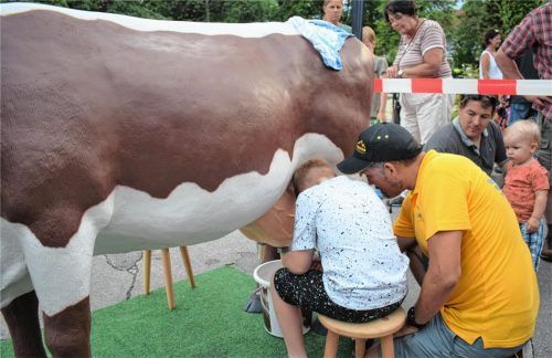 Jung und Alt durfte sich in der Kunst versuchen, eine Kuh zu melken. Das Exemplar bei diesem Wettbewerb war allerdings nicht echt, sondern aus Kunststoff. Foto Burghartswieser