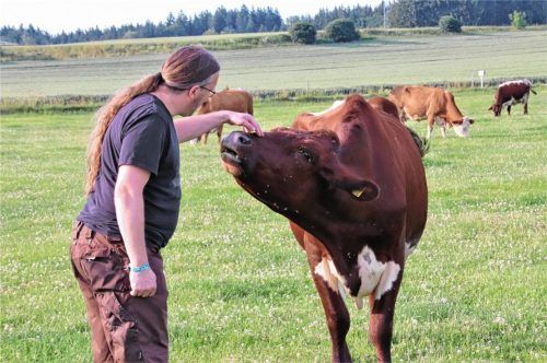 Mit der Kuh auf Du: Bio-Landwirt Gerhard Schroll zu Besuch auf der Weide.Fotos christa auer