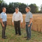 Tierkrematorium: Konsens in Sicht