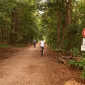„Friday for Future“: Waldstreifen erhalten!