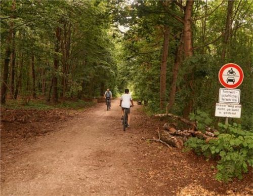 Naherholungsgebiet und Puffer zum Gewerbegebiet: Um einen Teil dieses Waldstreifens nördlich der Daimlerstraße wird seit Monaten gestritten. Die Stadt will eine rund zwei Hektar große Grünfläche zum Gewerbegebiet umwandeln, um Betriebserweiterungen zu ermöglichen. Anlieger und Umweltschützer setzen sich für den Erhalt des Waldes ein.