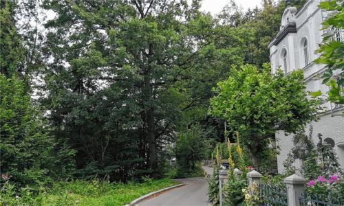 Schlössl, Inn, Fischweiher, Wald und eine schmale Straße, die durch das Naherholungsgebiet zur St.Leonhardsquelle führt. In dieser Idylle soll bei zwei Trassenvarianten der Tunnel unter Stephanskirchen hindurch enden. Fotos Hampel