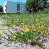 Widerstand gegen Mehrfamilienhaus