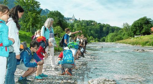 Zwischenstopp auf der Kiesbank: Die Sorgen mit einem Stein in der Prien versenken.Foto Berger