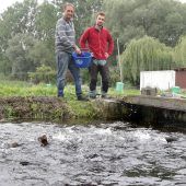 Unschuldig vor dem Ruin
