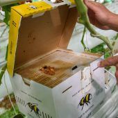 „Mit artgerecht hat das nichts zu tun“