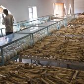 „Das Wegschauen ist immer noch nicht aufgearbeitet“