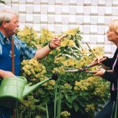 Das Gefecht am Gartenzaun