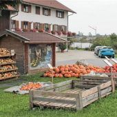 Jetzt herbstelt es: Dicke, orangefarbene Kürbisse sind da