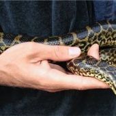 „Der Funke ist nicht übergesprungen“
