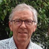 „Manchmal produzieren Stadtbienen mehr Honig als Landbienen“