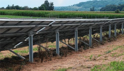 Auf den gelben Flächen unter den Modulen sind Herbizide zum Einsatz gekommen. Zwischen den Modulen wurde gemulcht. Das behauptet der Bund Naturschutz.Foto Grundner
