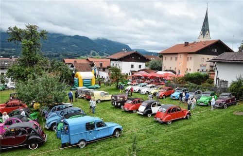 Bunter Aufmarsch: Enten in den unterschiedlichsten Farben gab es beim Ententreffen am Samerberg zu bestaunen.