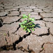 Debatte um Klimaschutz geht weiter