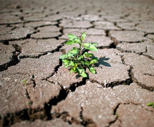 Der Klimaschutz zählt zu den politischen Schwerpunkten. Foto dpa
