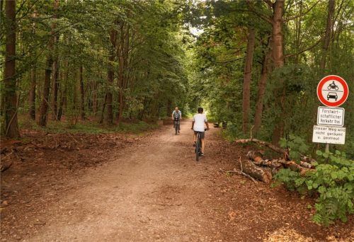Mit der geplanten Erweiterung  des Gewerbegebiets hätte der Wald nördlich der Daimlerstraße auf die rund 50 Meter breite Schilcherlinie reduziert werden sollen. Eine Bürgerinitiative machte sich stark für den Erhalt des Waldes und reichte einen Bürgerantrag mit 344 Unterschriften ein. Ein deutliches Signal für die Stadt, die einen Kompromiss anbietet: Bei der Erweiterung verzichtet man auf eine Stichstraße, der Wald östlich der Schilcherlinie soll 20 Meter breit sein. Foto  Grundner