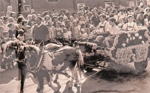 Eine Aufnahme aus dem Jahr 1969: Marisa Steegmüller und ihr Bruder Franz, der mittlerweile verstorben ist, fahren in der Brauereikutsche beim Kinderzug zum Herbstfest mit. Die Namen der Kutscher von damals sind im privaten Album der Brauerei-Geschäftsführerin nicht festgehalten. Schlecker