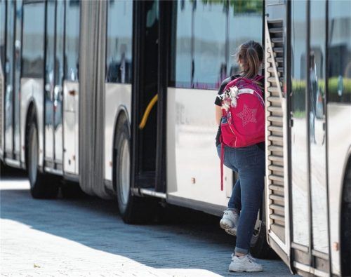 Einsteigen in einen Bus: Lösungsvorschläge zu erarbeiten, dass sich dieser Vorgang künftig im Landkreis viel öfter wiederholt, ist eine Aufgabe der Verkehrsplaner gewesen.Foto dpa
