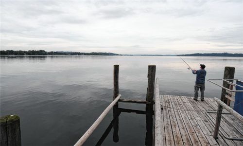 Positive Bedingungen für Fisch und Angler: Die vielen naturbelassenen Uferbereiche sind nach Angaben von Experten gut für den Bestand. Fotos dpa