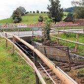 Ein neuer Durchschlupf für das Vieh