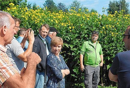 Simon Voit (links) erläutert die Gegebenheiten zu seinem Feld. Raphael Röckenwagner (Zweiter von rechts) vom Maschinenring gab Erklärungen zur Silphie.