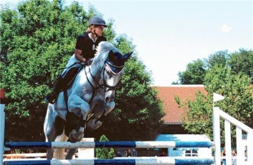 Sonja Seemann auf Croco holte sich den zweiten Platz in der Springprüfung Klasse L. Fotos Reischl-Zehentbauer