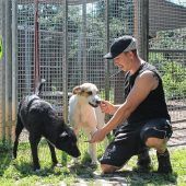Hunde aus Tierheim bald steuerfrei?