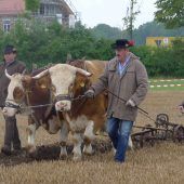 Wettackern mit Tradition