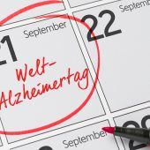 Was im Gehirn passiert – und wie Forscher das stoppen wollen