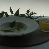 Heute: Brennnesselkaltschale mit Leinölgelee und Weißbier & Saure Nierchen