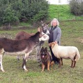 Wo sich die größten Esel treffen