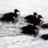 Familienausflug auf der Mangfall