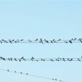 Schon bald geht es in den Süden