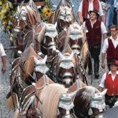 Wiesn-Achter