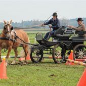 Mit der Kutsche durch die Hindernisse