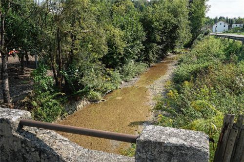Der Wasserpegel am Wanklbach war schon mal höher. Ist der Grund dafür die allgemeine Trockenheit oder doch der Bau der Erdgas-Pipeline? EinInformationsgespräch könnte Licht in die Angelegenheit bringen. Foto  meling