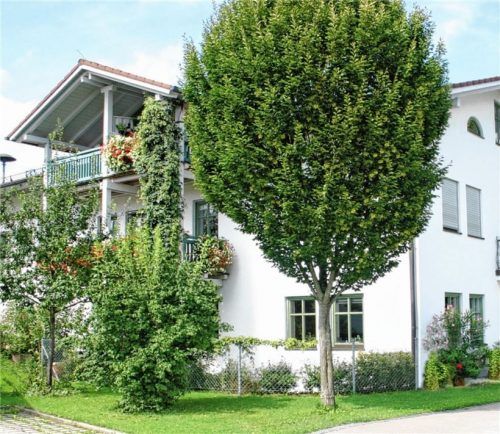 Das Sozialwerk Stephanskirchen hat seine Heimat in der Schömeringer Straße. Und feiert dort am 19. Oktober mit allen Interessierten seinen 50. Geburtstag.