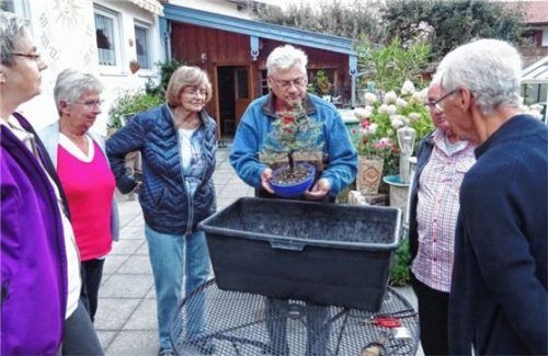 Der neue Sprecher Manfred Grupp prüft den Zustand einer Lärche.Foto .Hoffmann