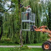 Wer schläft denn hier?
